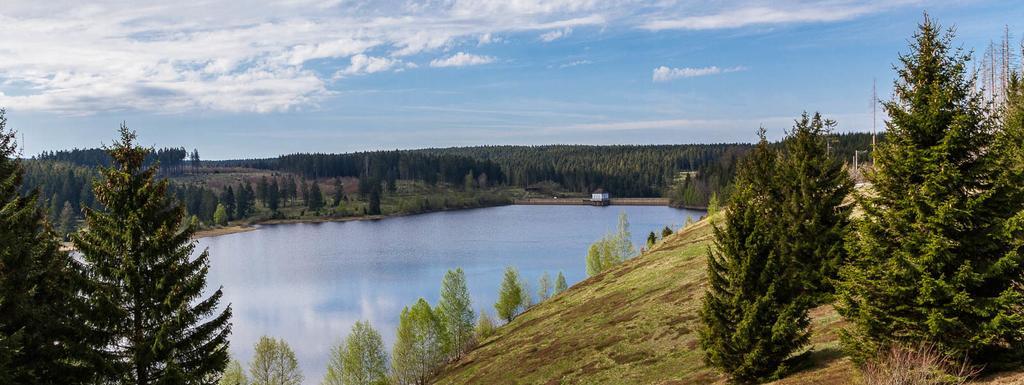 Thale Lejlighed Braunlage